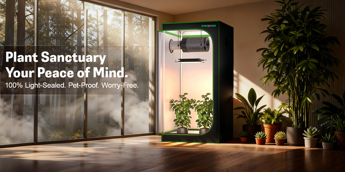 How to Maximize Yield in a 2x2 Grow Tent: The Ultimate 100W LED Setup