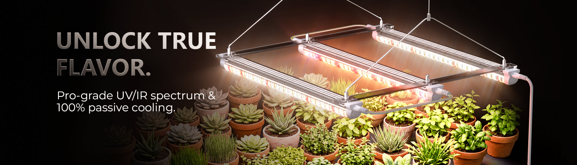 MIMEO full-spectrum LED grow light illuminating potted plants in indoor gardening setup