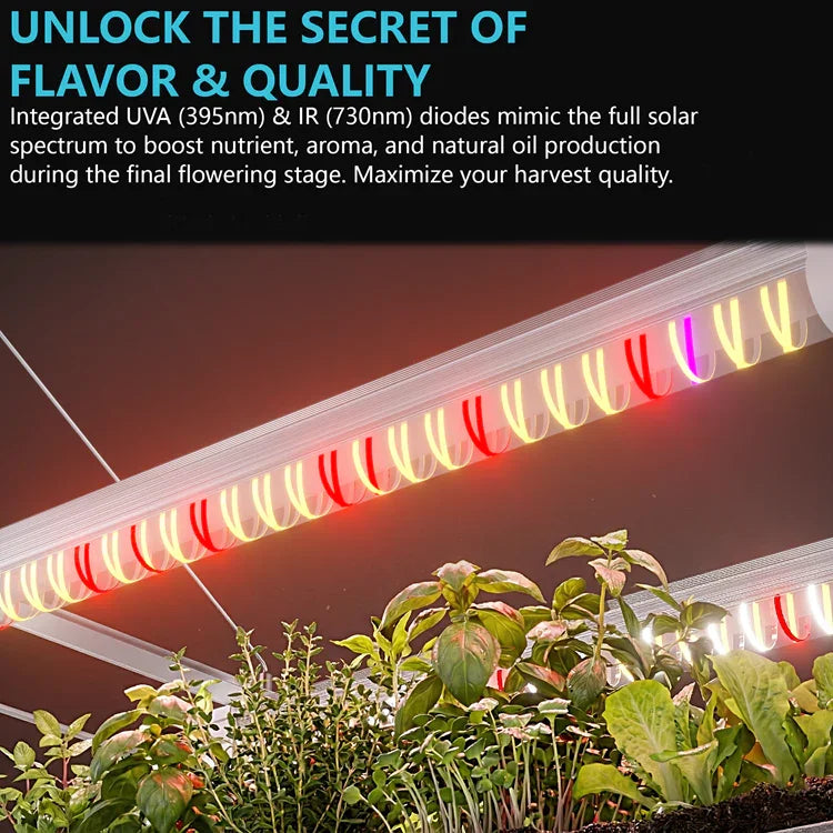 MIMEO LED Grow Light with UVA & IR diodes illuminating indoor plants in a stealth grow tent setup
