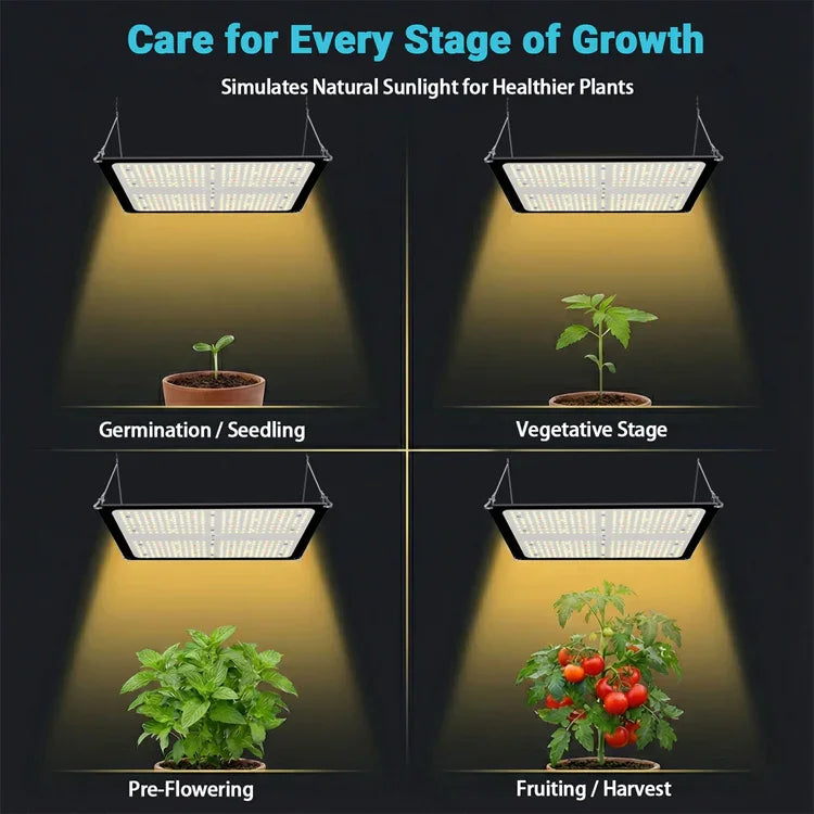 MIMEO LED Grow Light for Indoor Gardening – Supports Germination to Harvest Stages