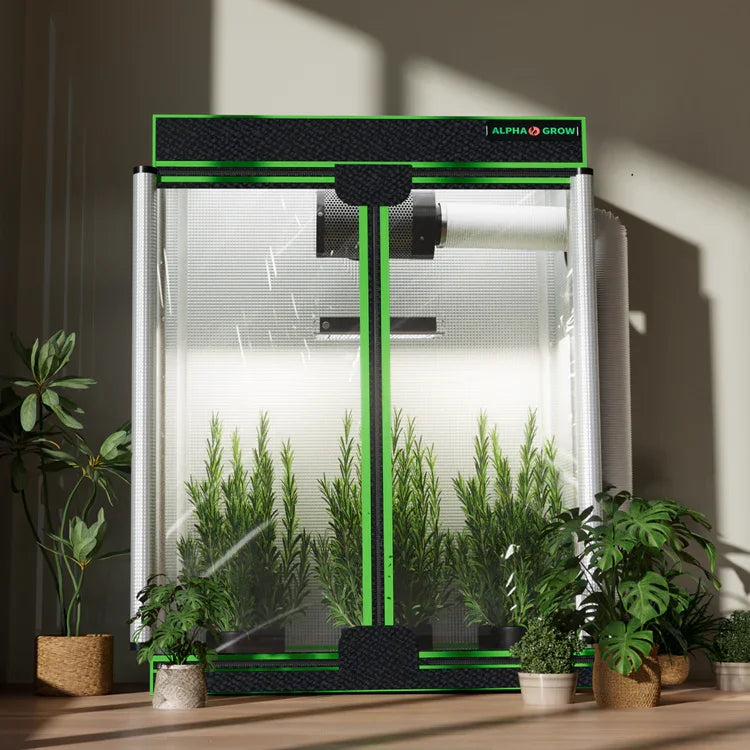 MIMEO Alpha Grow indoor hydroponics turnkey kit with LED grow light and stealth grow tent for home gardening
