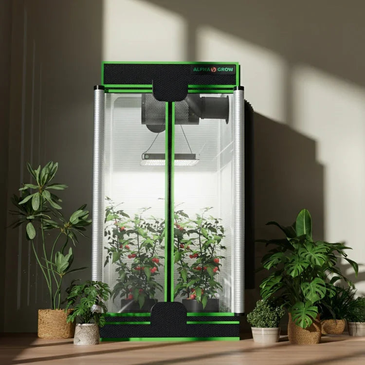 MIMEO Alpha Grow indoor hydroponics tent with LED light, ideal for stealth home gardening and turnkey setups.