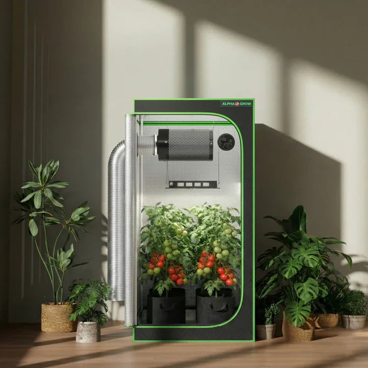 MIMEO indoor grow tent with LED light & carbon filter for stealth hydroponic tomato gardening