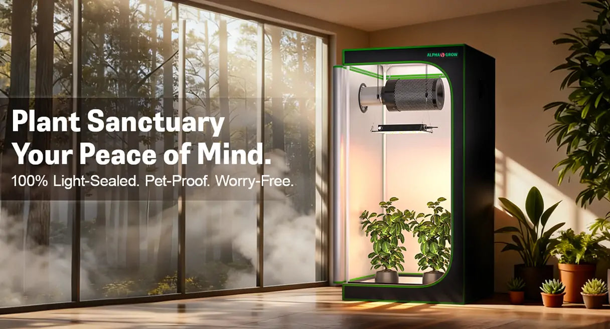 MIMEO indoor gardening grow tent with full-spectrum LED lighting and ventilation setup for home plant care.
