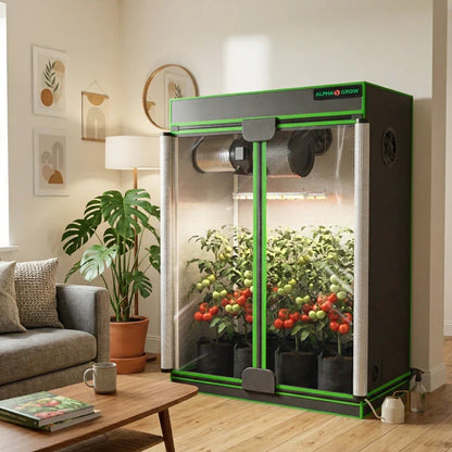 MIMEO indoor grow tent with LED light, growing tomatoes in living room, stealth hydroponics setup