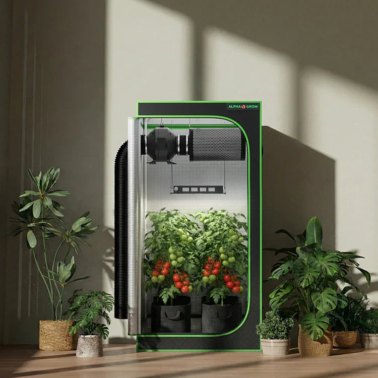 MIMEO indoor grow tent with LED light, tomatoes thriving in stealth hydroponic setup, turnkey kit