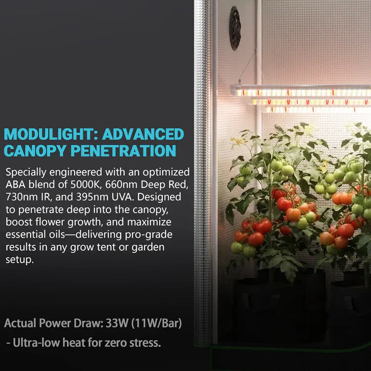 MIMEO LED Grow Light illuminating tomato plants in a grow tent with advanced canopy penetration