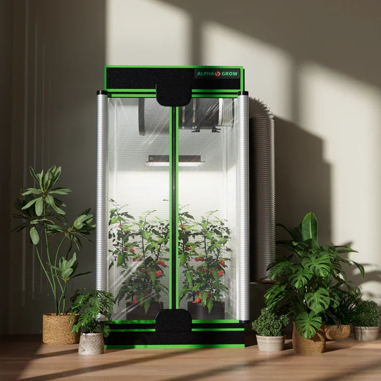 MIMEO Alpha Grow indoor hydroponics tent with LED light and stealth setup for home gardening