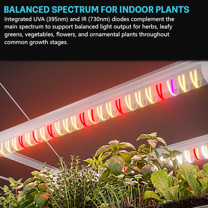 MIMEO full-spectrum LED grow light illuminating indoor plants with balanced UVA and IR diodes for healthy growth