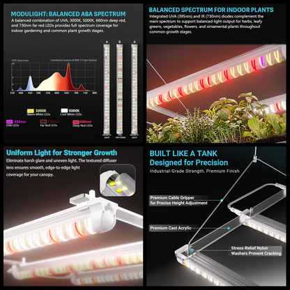 MIMEO full-spectrum LED grow light with balanced ABA spectrum for indoor plants, uniform canopy coverage, and premium build