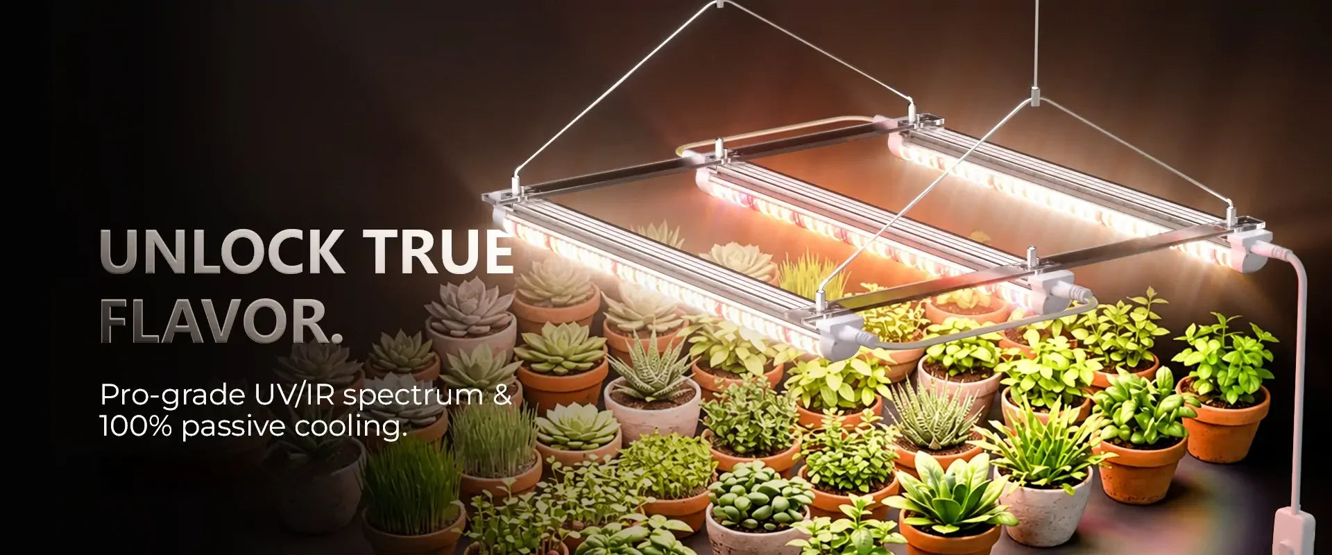 MIMEO LED Grow Light illuminating succulents and herbs in indoor garden setup